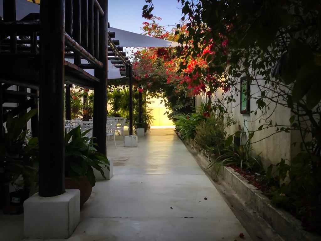 Casa Ines Bed & Breakfast Санта Марта Екстериор снимка